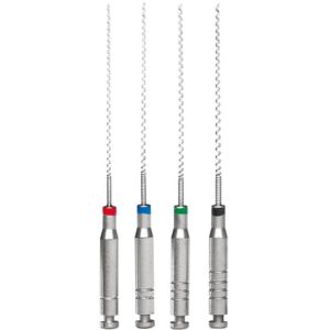 Paste carriers endondontic dental